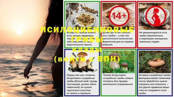 спайс Алексеевка