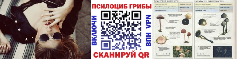 Галлюциногенные грибы мицелий  где найти   Аргун 
