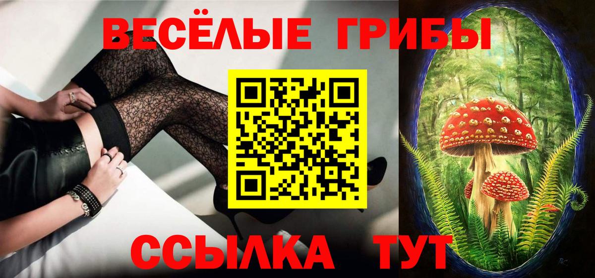Аргун  Псилоцибиновые грибы мицелий  Вход с VPN 