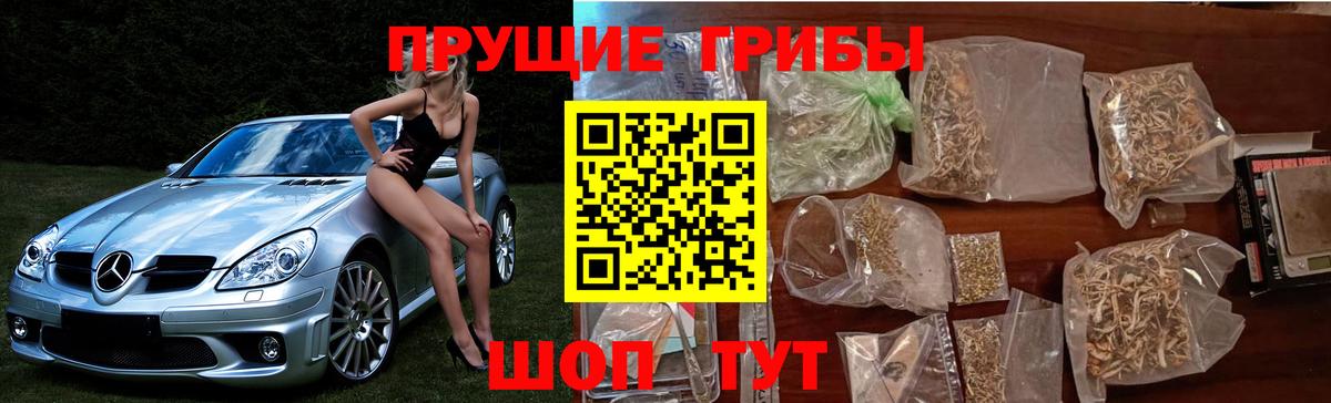 Галлюциногенные грибы ЛСД Аргун